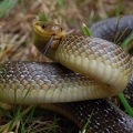 DSC 0110