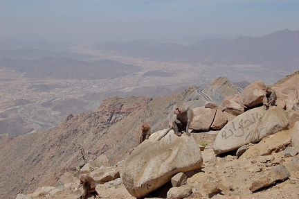 Bergpass-Taif