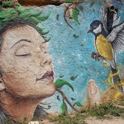 Vögel