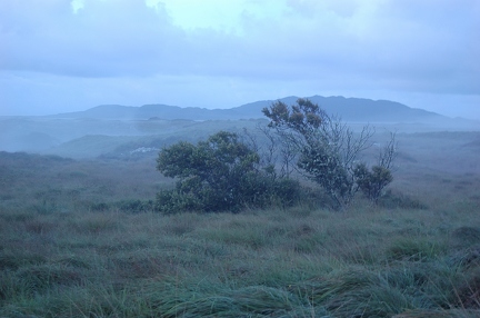 Bog road