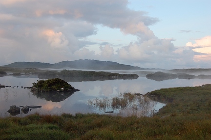 Bog road