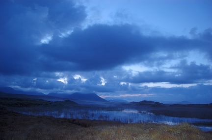Bog road morning