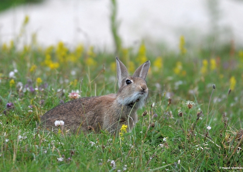 DSC_7613.JPG