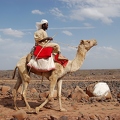 Camel rider A