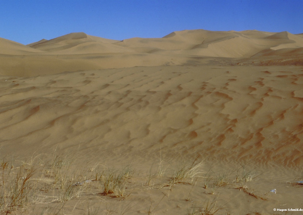 Nafud Desert
