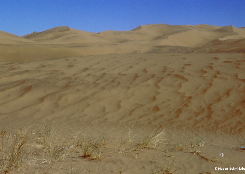 Nafud Desert