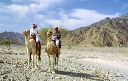 Camel 2