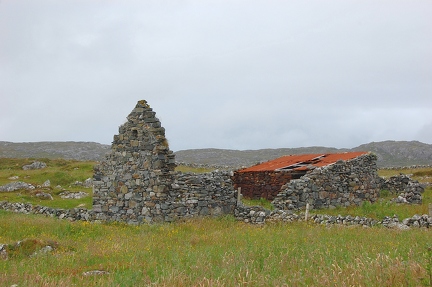 Red roof