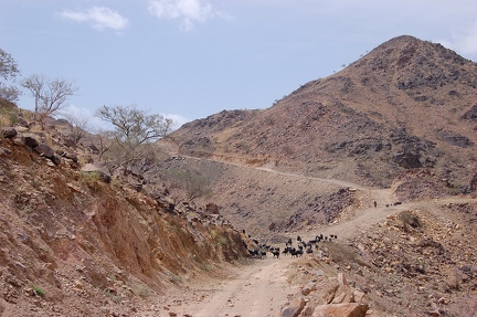 Hills Wadi Khoulais