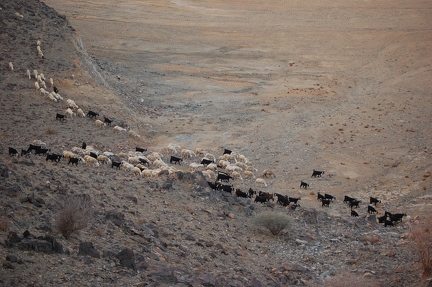 Hills east of Jeddah