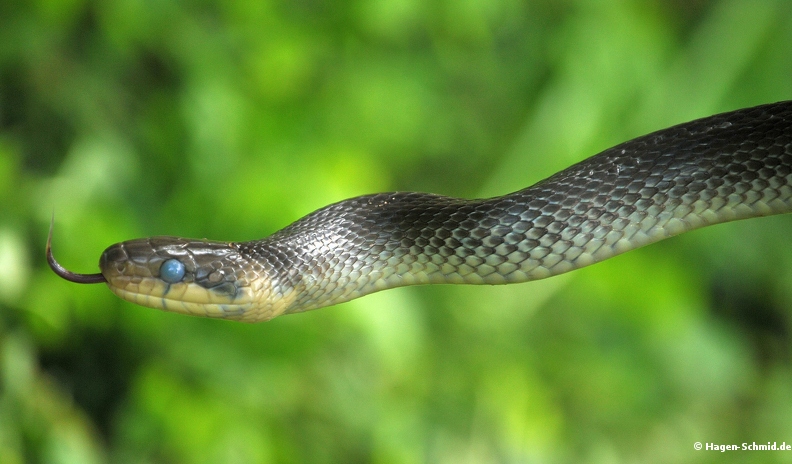 DSC_9678.JPG
