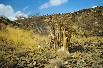 Asir Mountain
