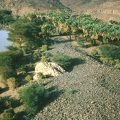 Oasis of Khaybar 160 km north-east of Madina