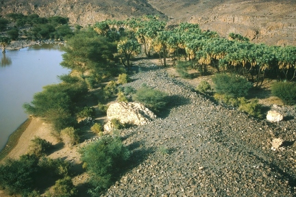 Oasis of Khaybar 160 km north-east of Madina