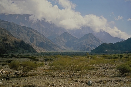 Landschaft Asir 3-SharpenAI-Standard